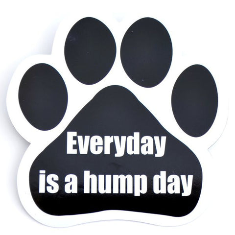 Every Day Is A Hump Day Car Magnet