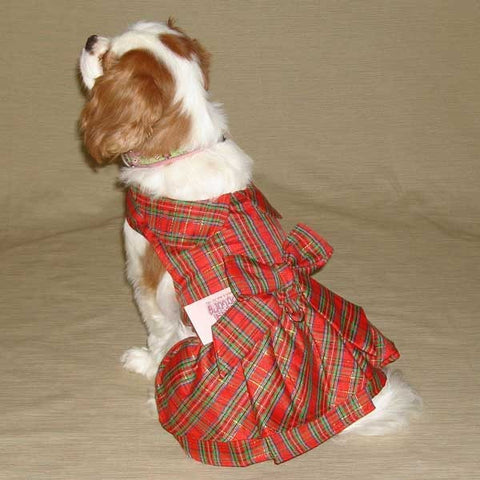 Holiday Doggy Dress