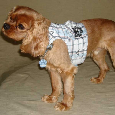 Doggie Rocks Vest