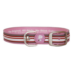 Neapolitan Waterproof No Stink Dog Collar