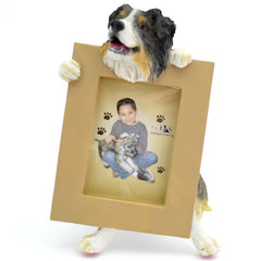 Australian Shepherd Picture Frame