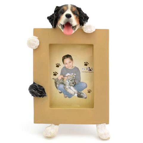 Bernese Mountain Dog Picture Frame