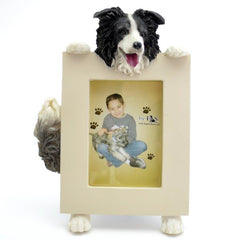 Border Collie Picture Frame