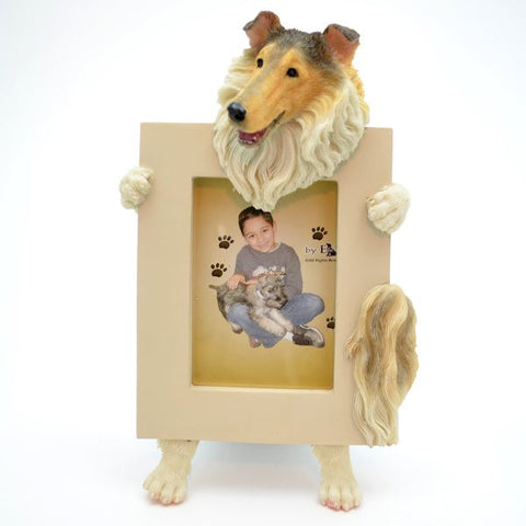 Collie Picture Frame