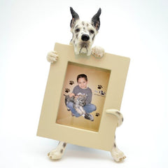 Harlequin Dane Picture Frame