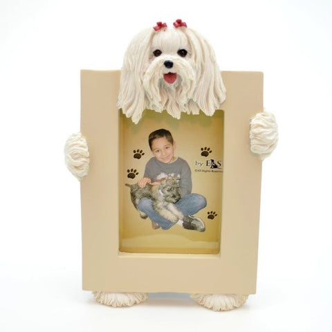 Maltese Picture Frame