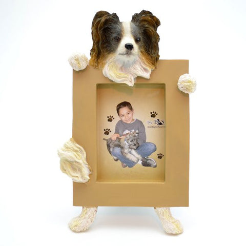 Papillon (Tricolor) Picture Frame