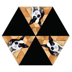 Boston Terrier Umbrella